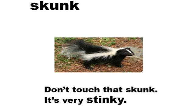 Don't touch that skunk. It's very stinky.