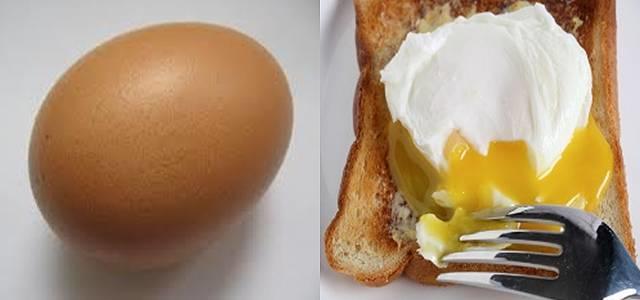an egg vs. egg