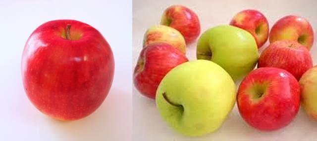 1個のリンゴ（左）と複数のリンゴ（右）
